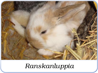 Ranskanlupat