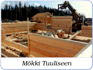 Mökki Tuuliseen